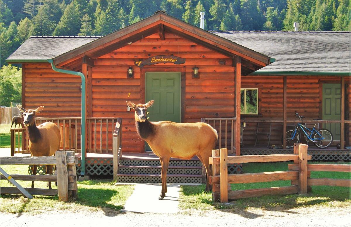 cabins near banner elk nc