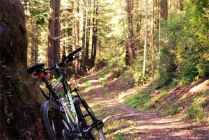 MtnBiking_web_opt