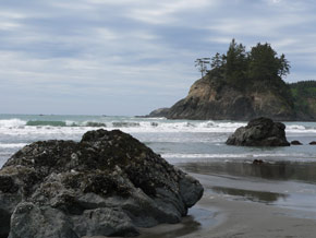 rnpl_ocean_03